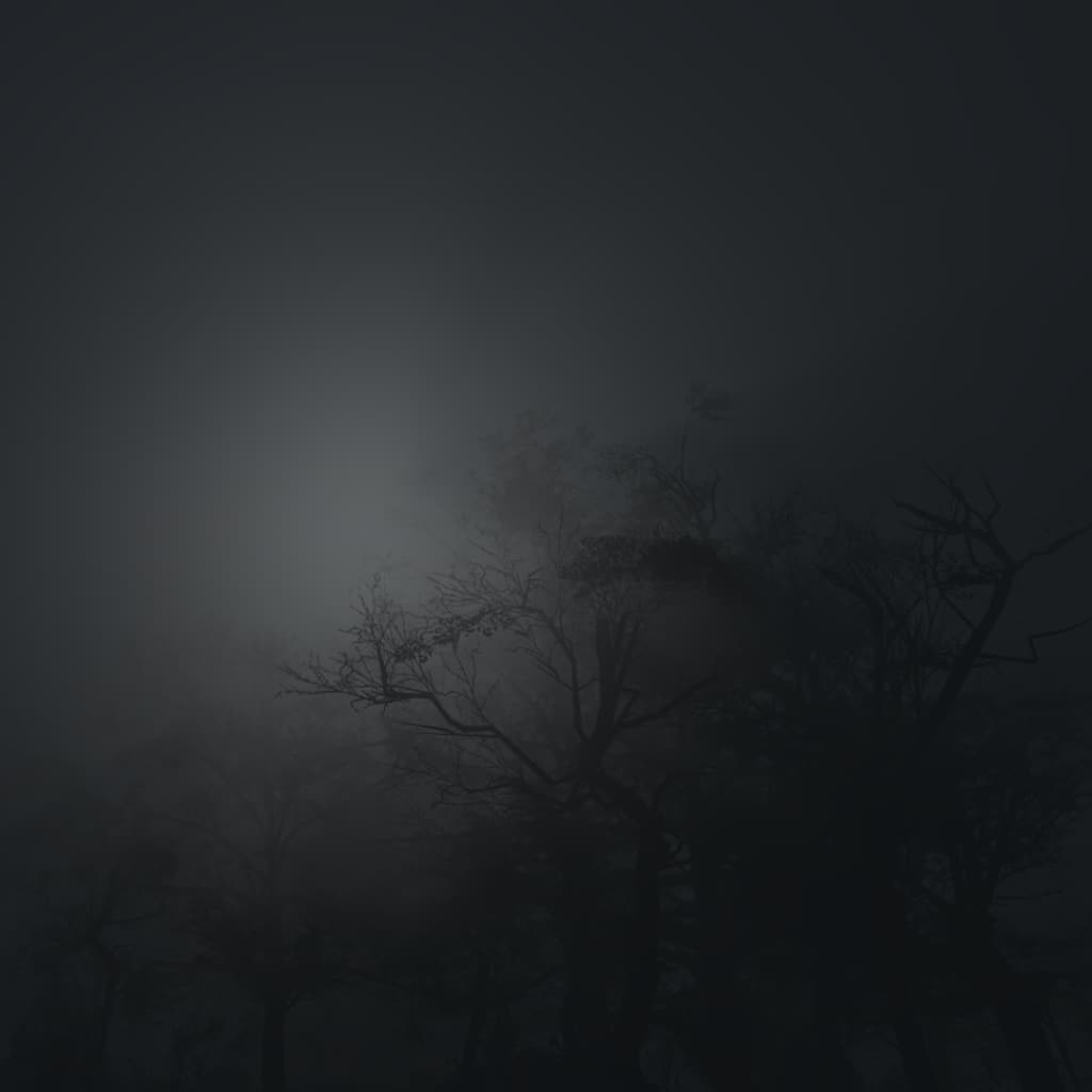 Dark Shadow